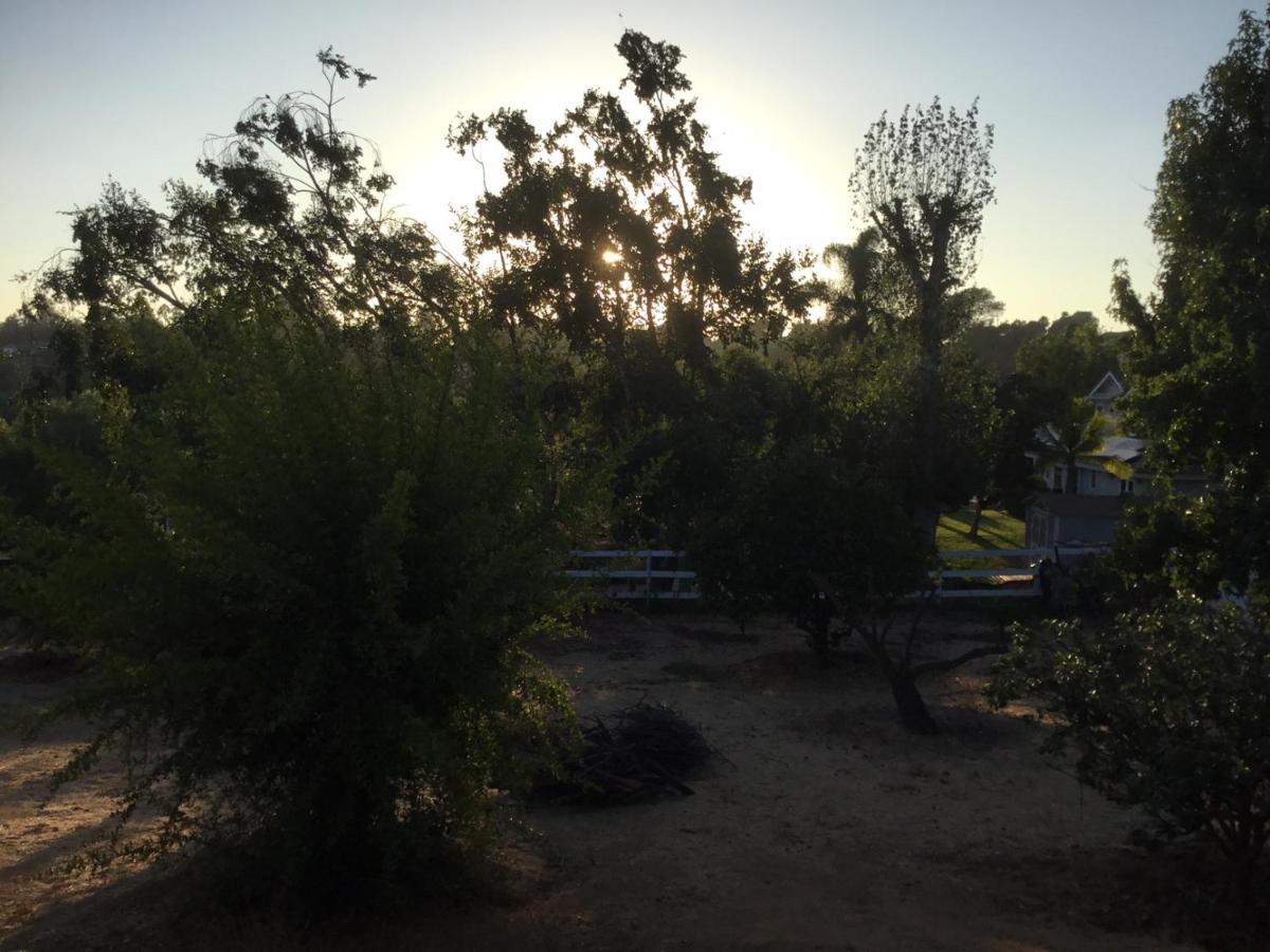 Beautiful New Detached Casita Nestled In Scenic Southern Ca Foothills! Fallbrook Buitenkant foto